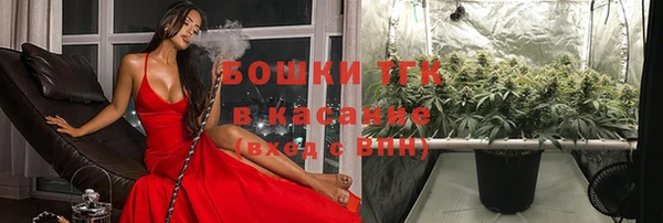 прущая мука Магас