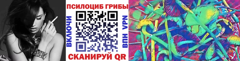 Купить где  Волгоград  Псилоцибиновые грибы Psilocybe 